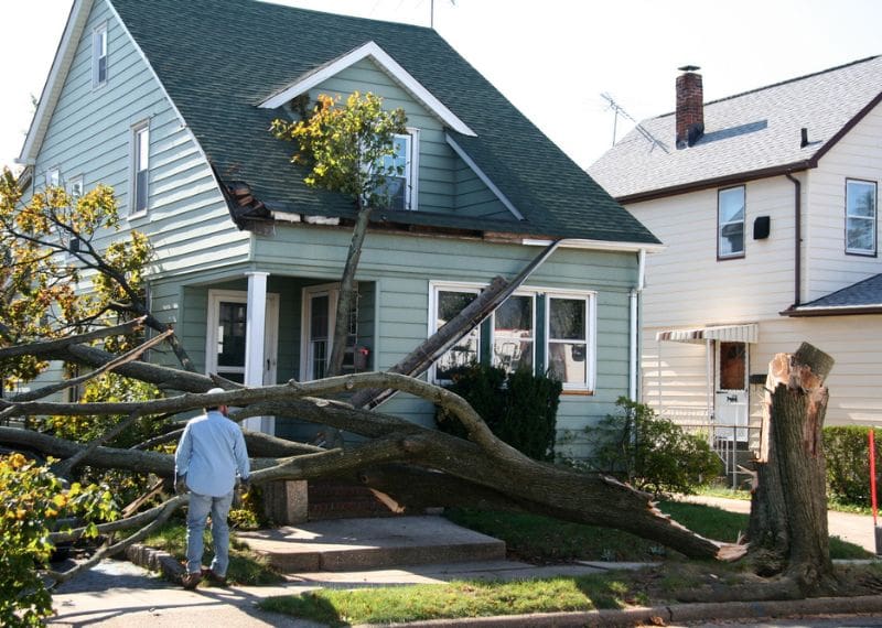 Does Renter's Insurance Cover Natural Perils?